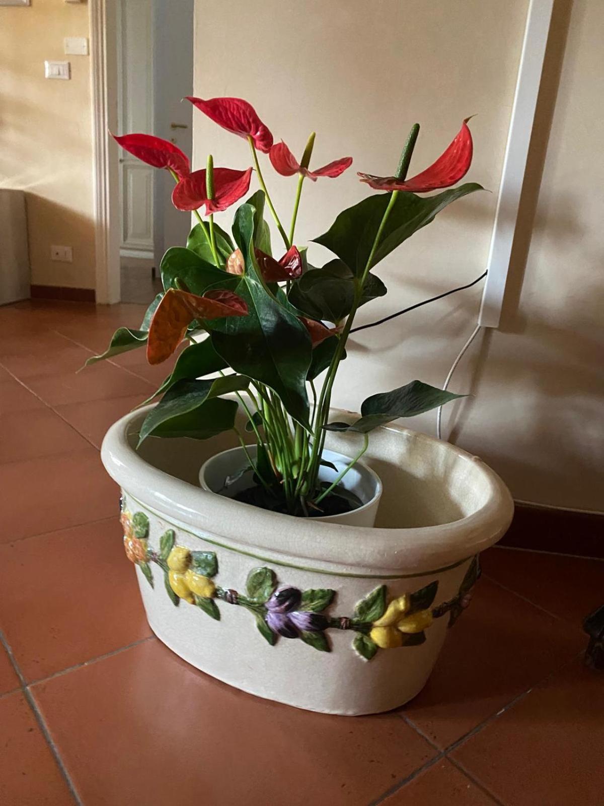 Appartamento Magnolia Mercatale Val Di Pesa 外观 照片